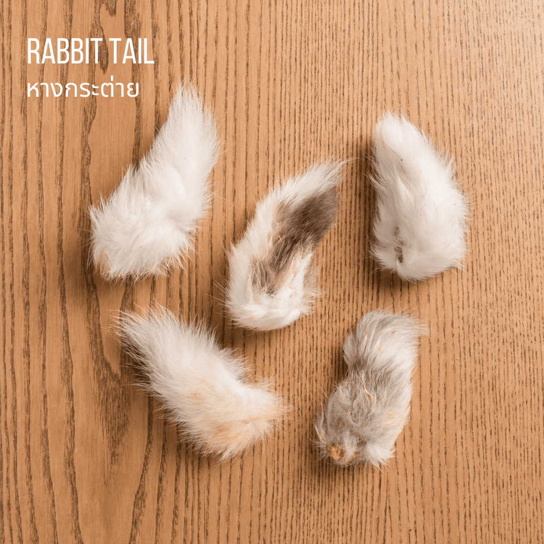 rabbit tail