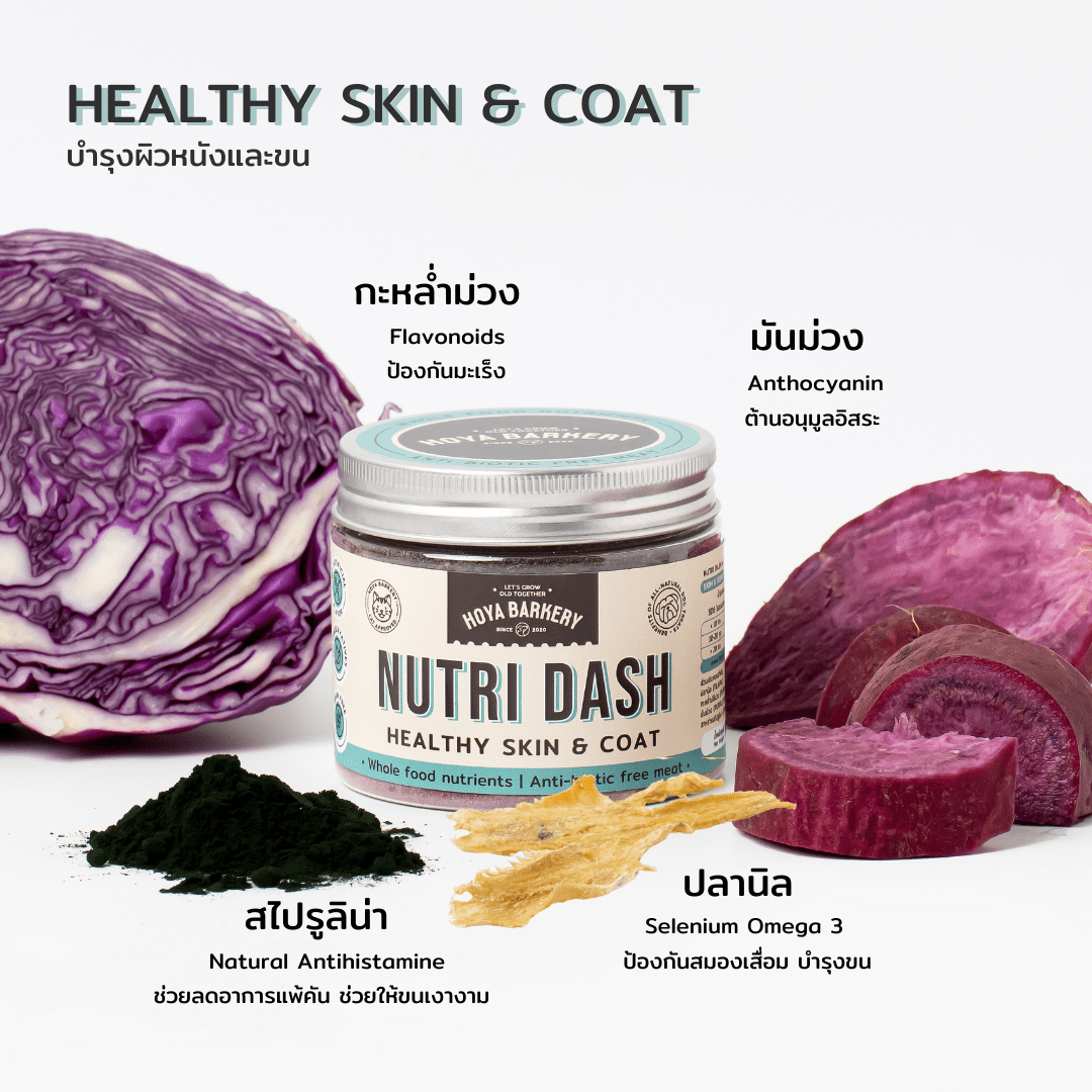 nutri dash