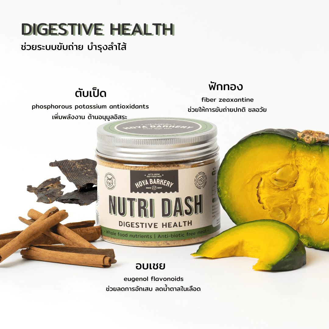 nutridash digestive