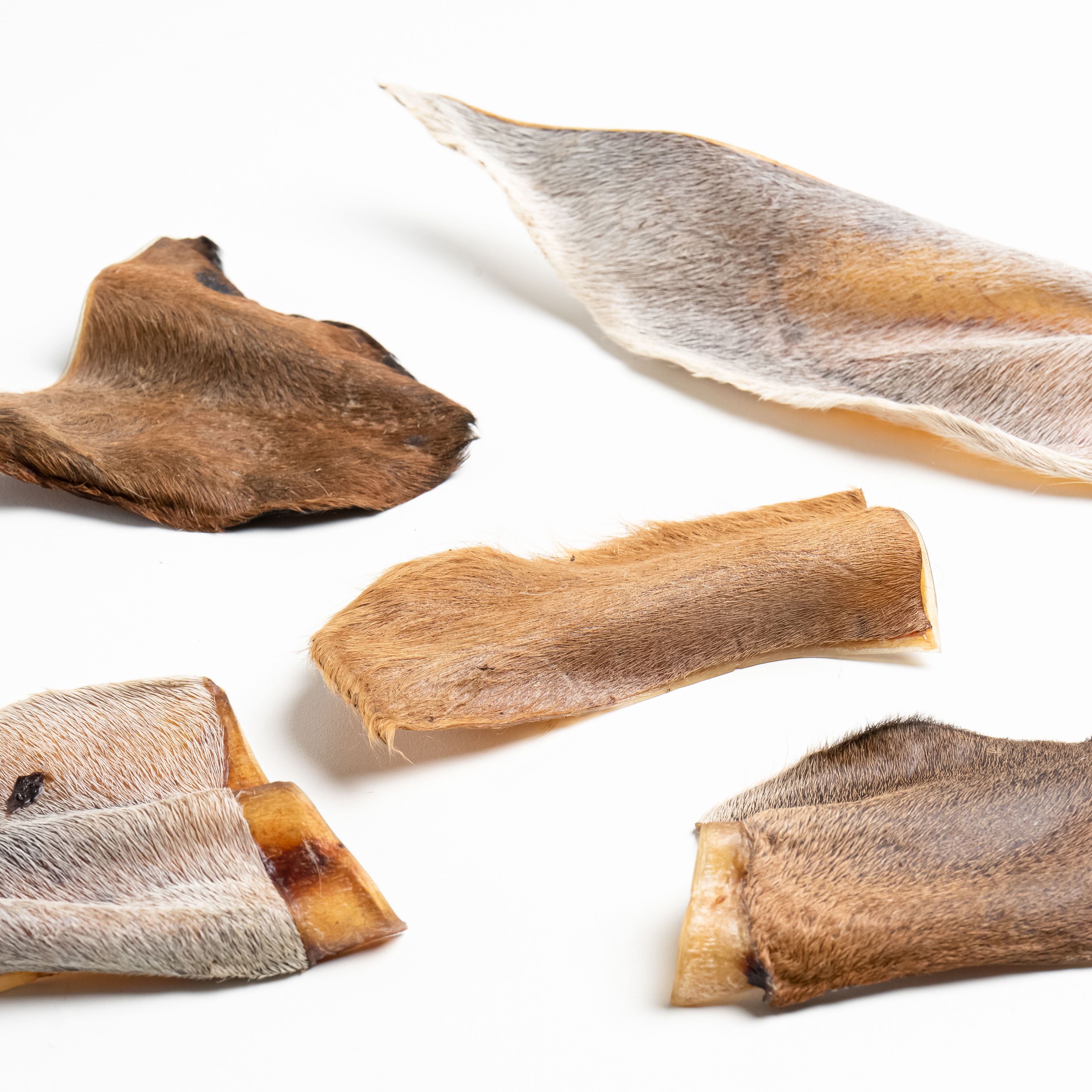 Cow ear chips