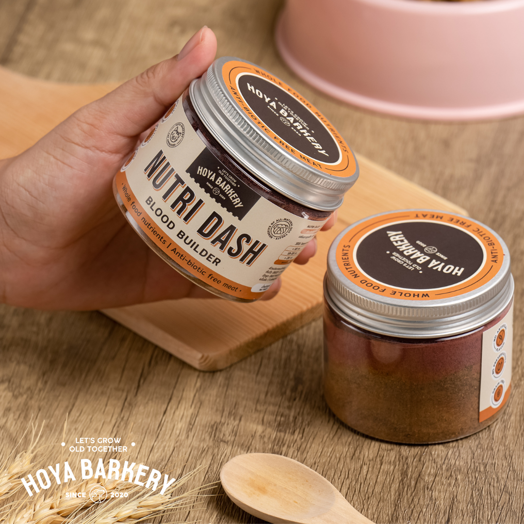 NutriDash Blood Builder