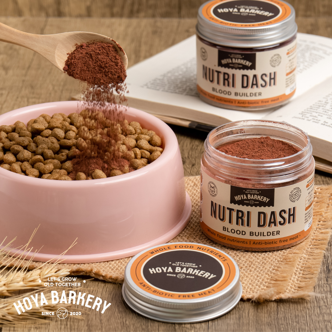 NutriDash Blood Builder