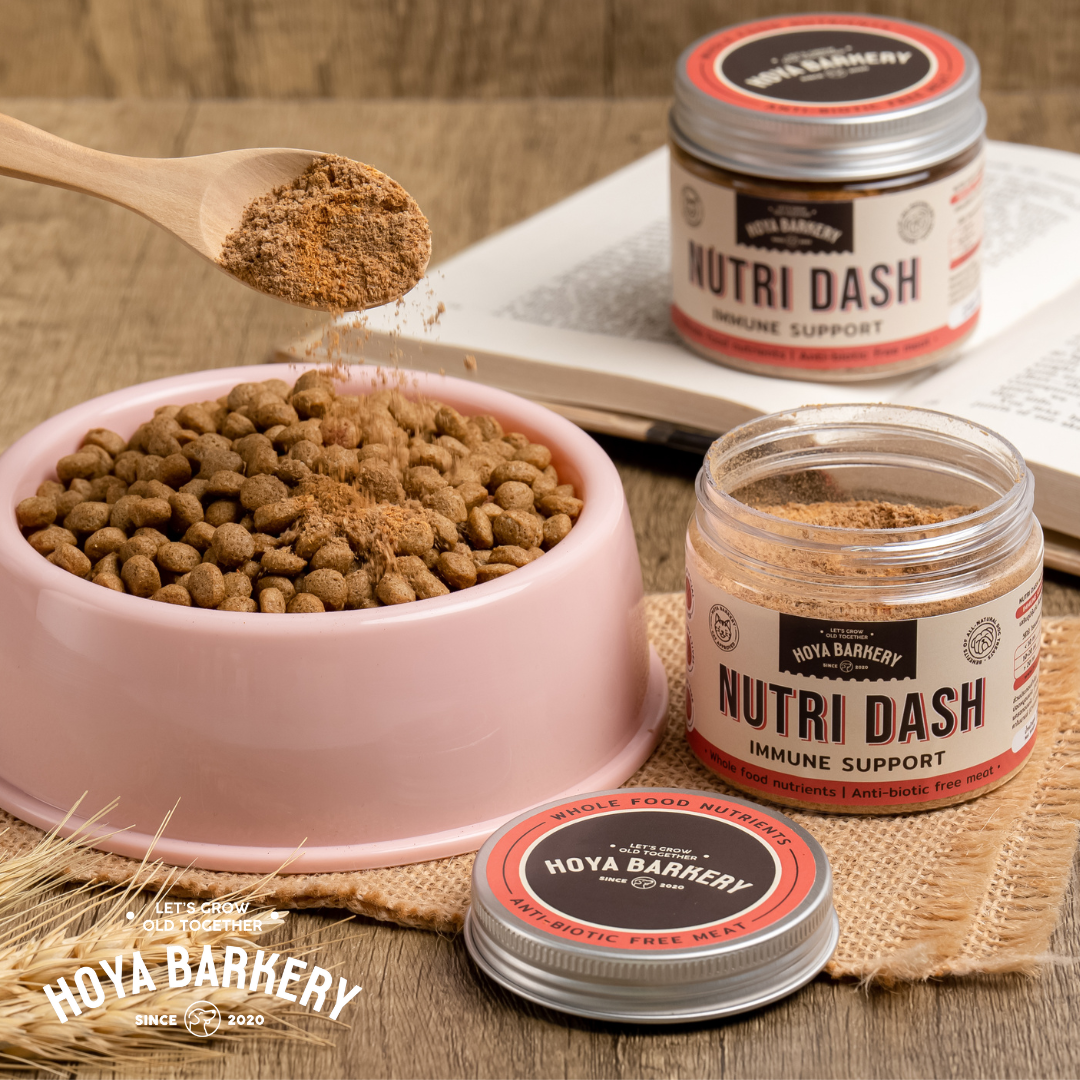 nutridash	