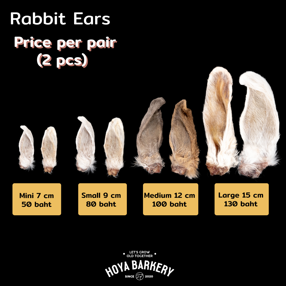 RAbbit ear M