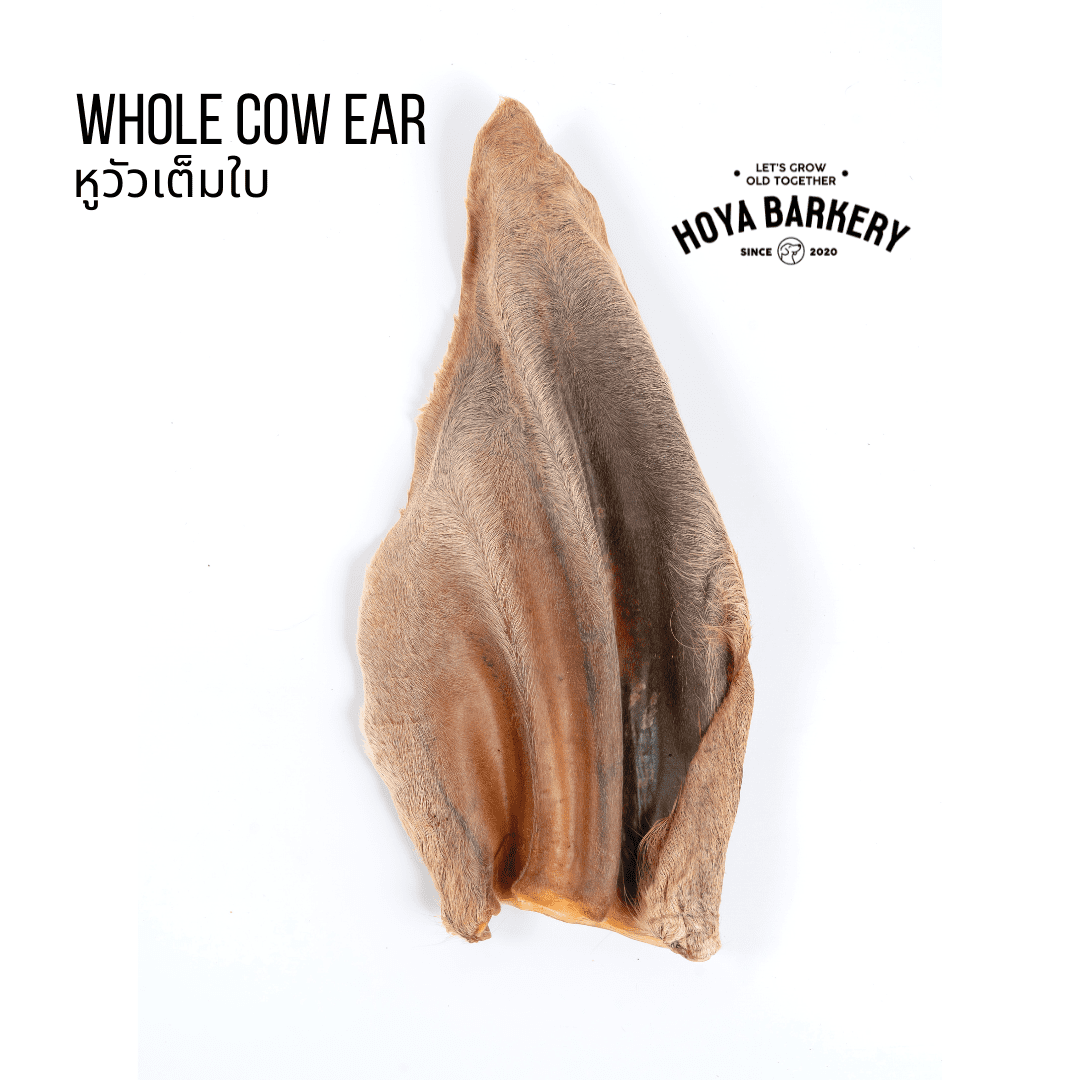 Whole Ear M