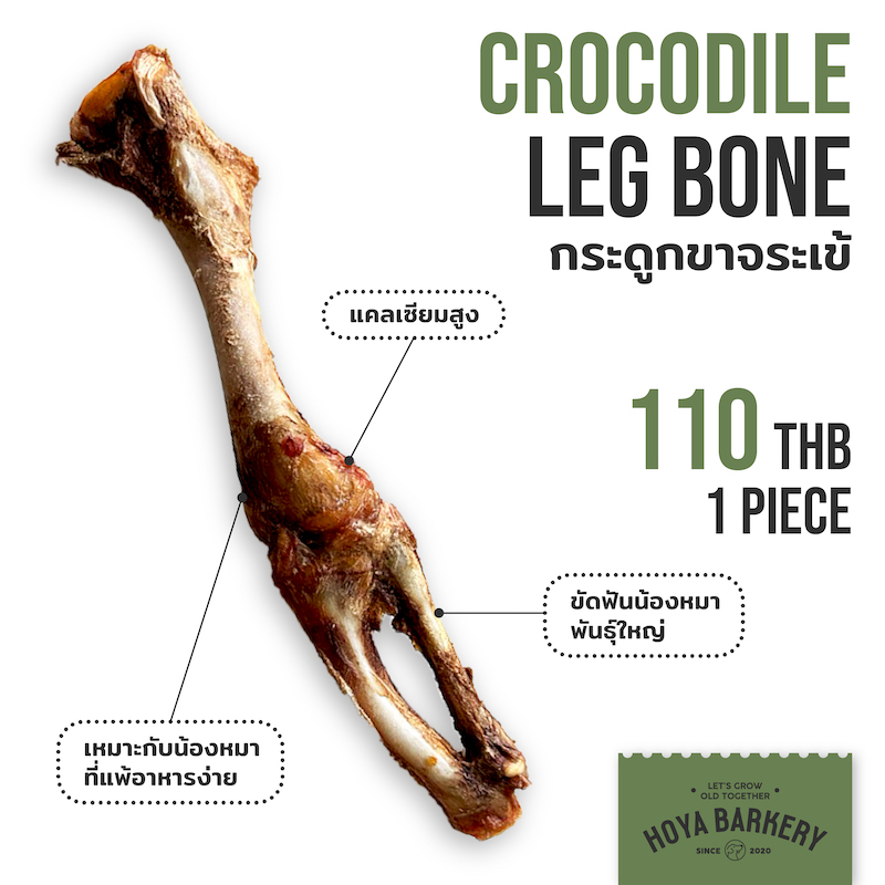 croc leg