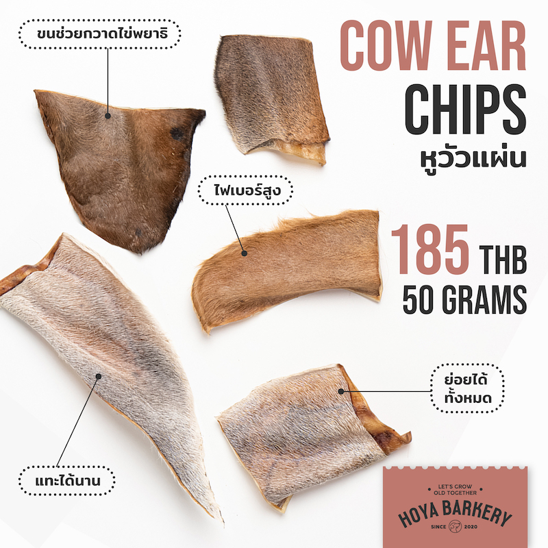 ear chips