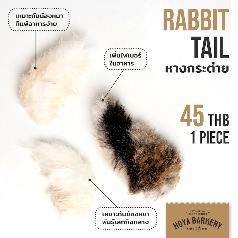 rabbit tail