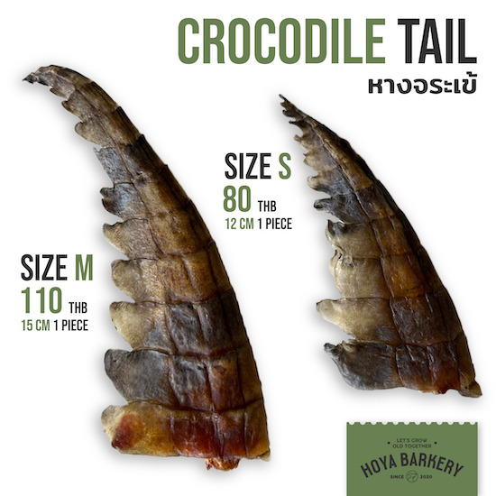 croc tail