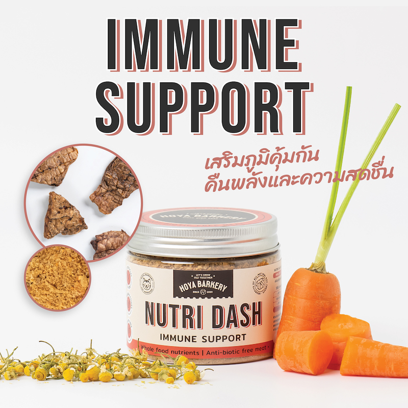 Nutri Dash original