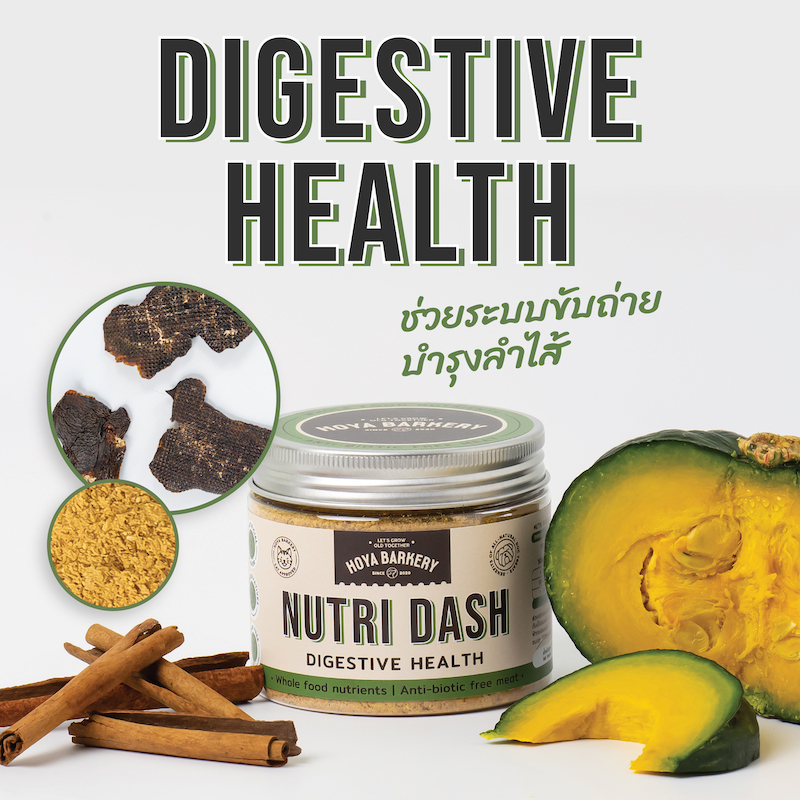 Nutri Dash original