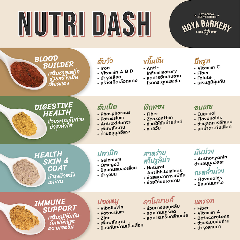 Nutri Dash Original