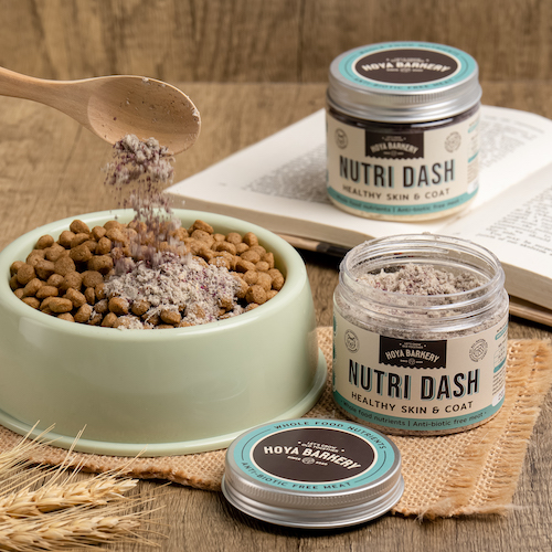 Nutri Dash Original