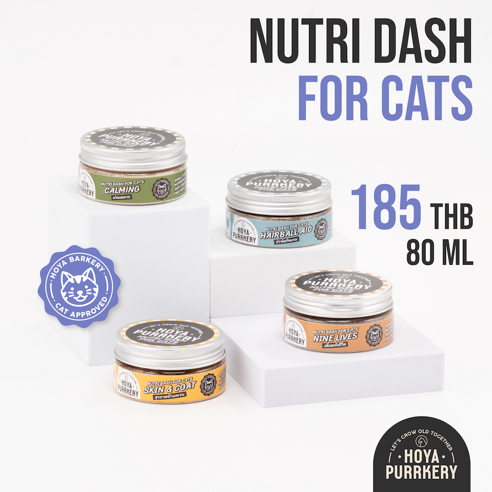 Nutri Dash for cats