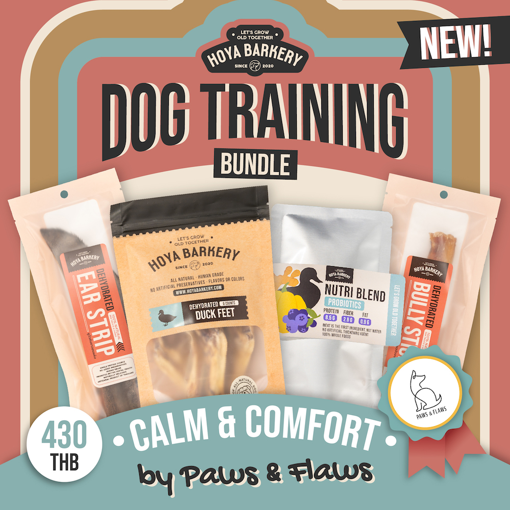 calm comfort bundle