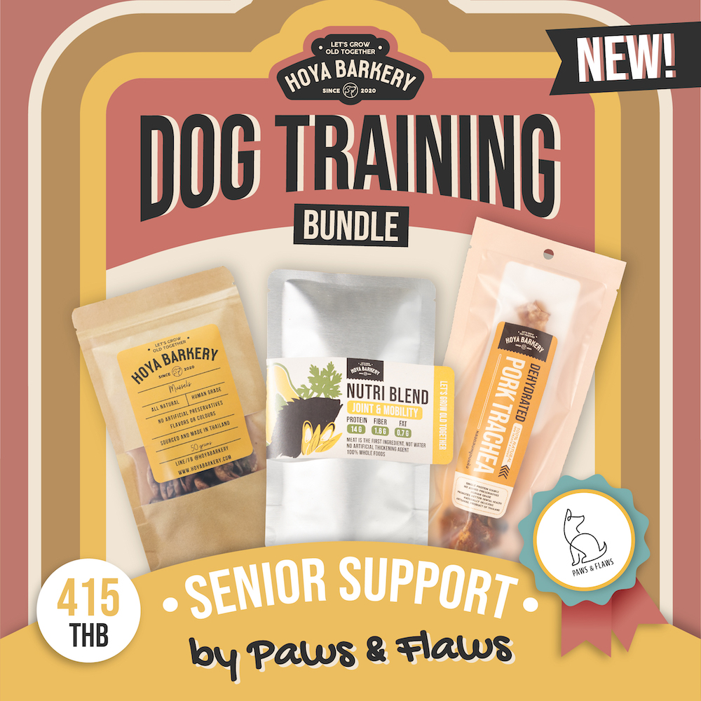 senior support