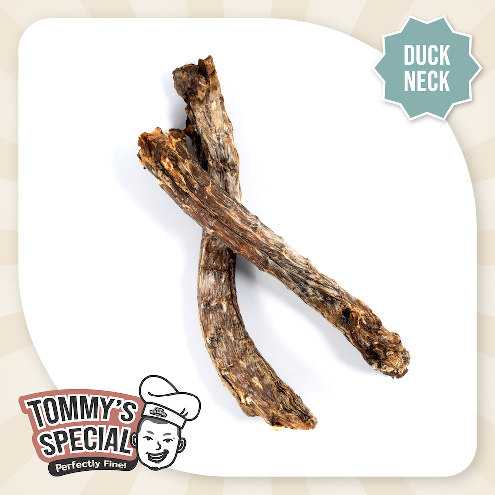 Tommy's Special