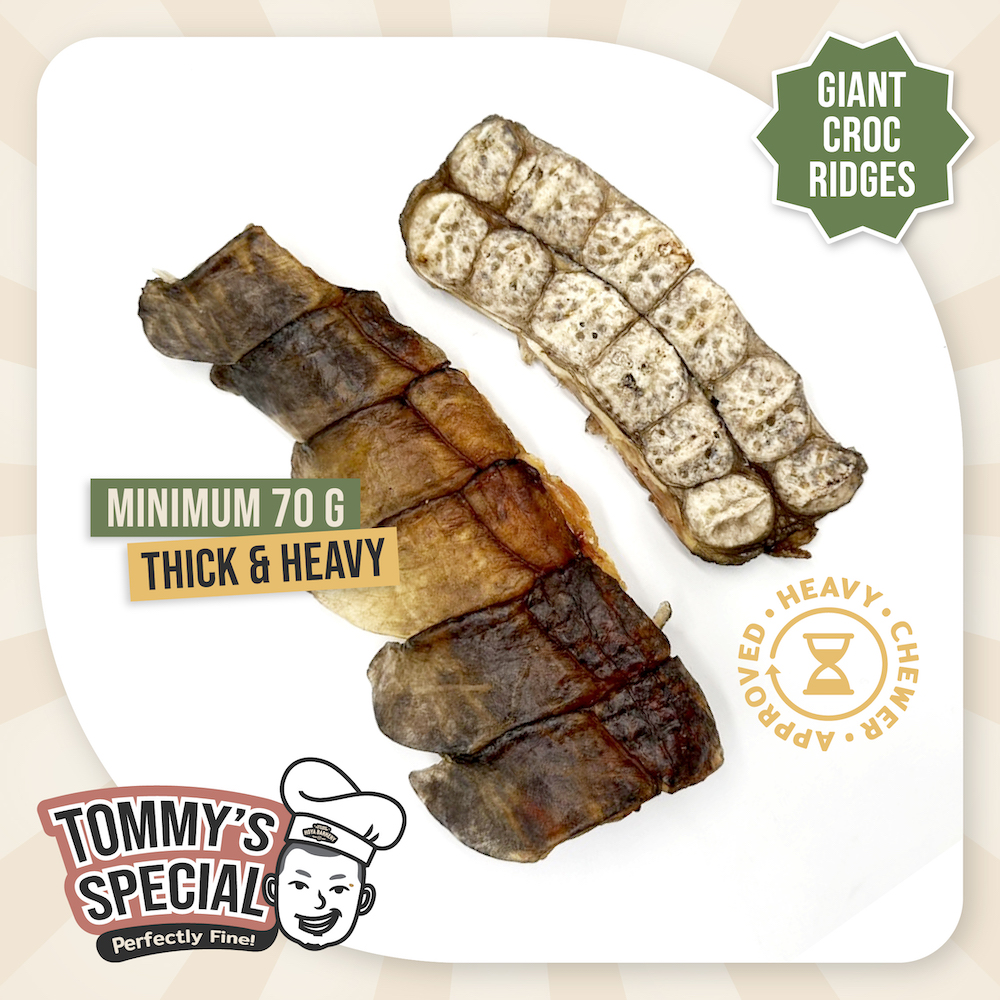 Tommy's Special