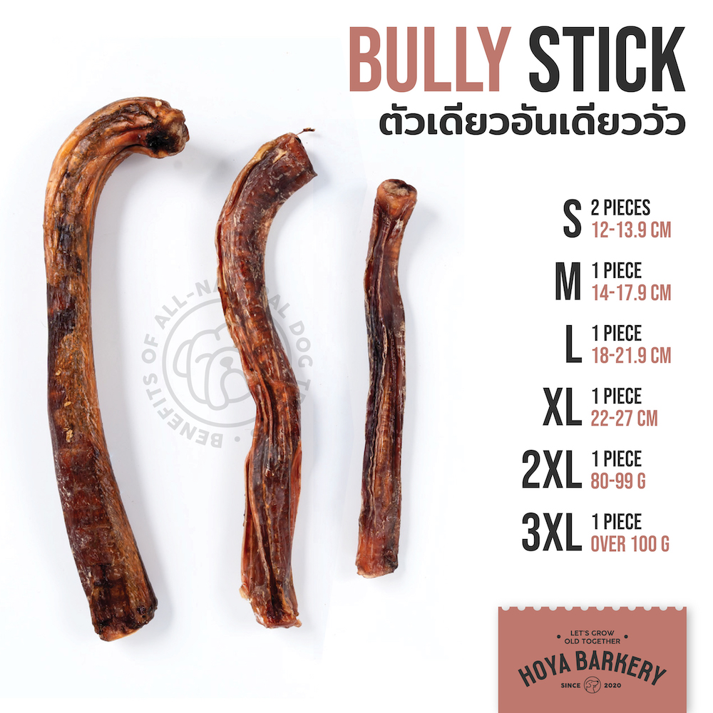 bully stick
