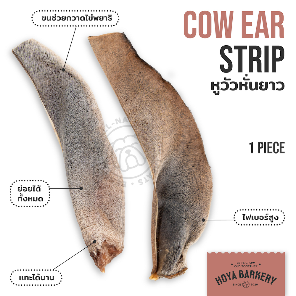 ear strip