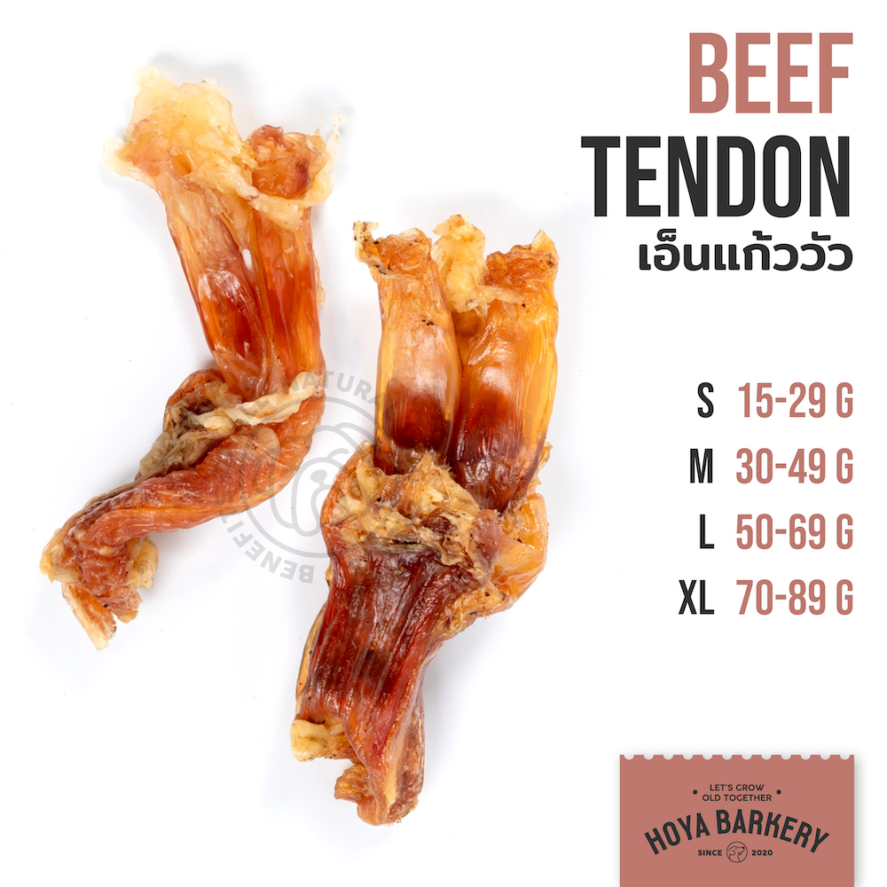 beef tendon