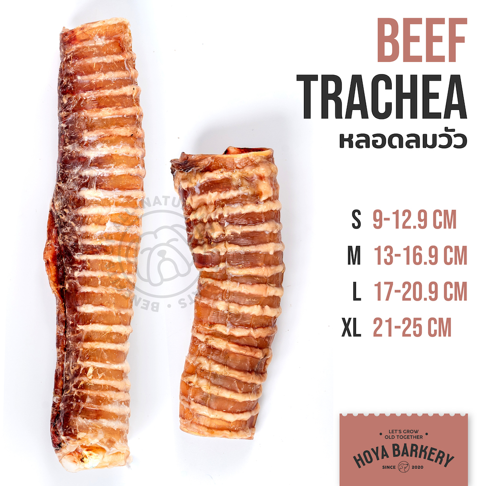 beef trachea