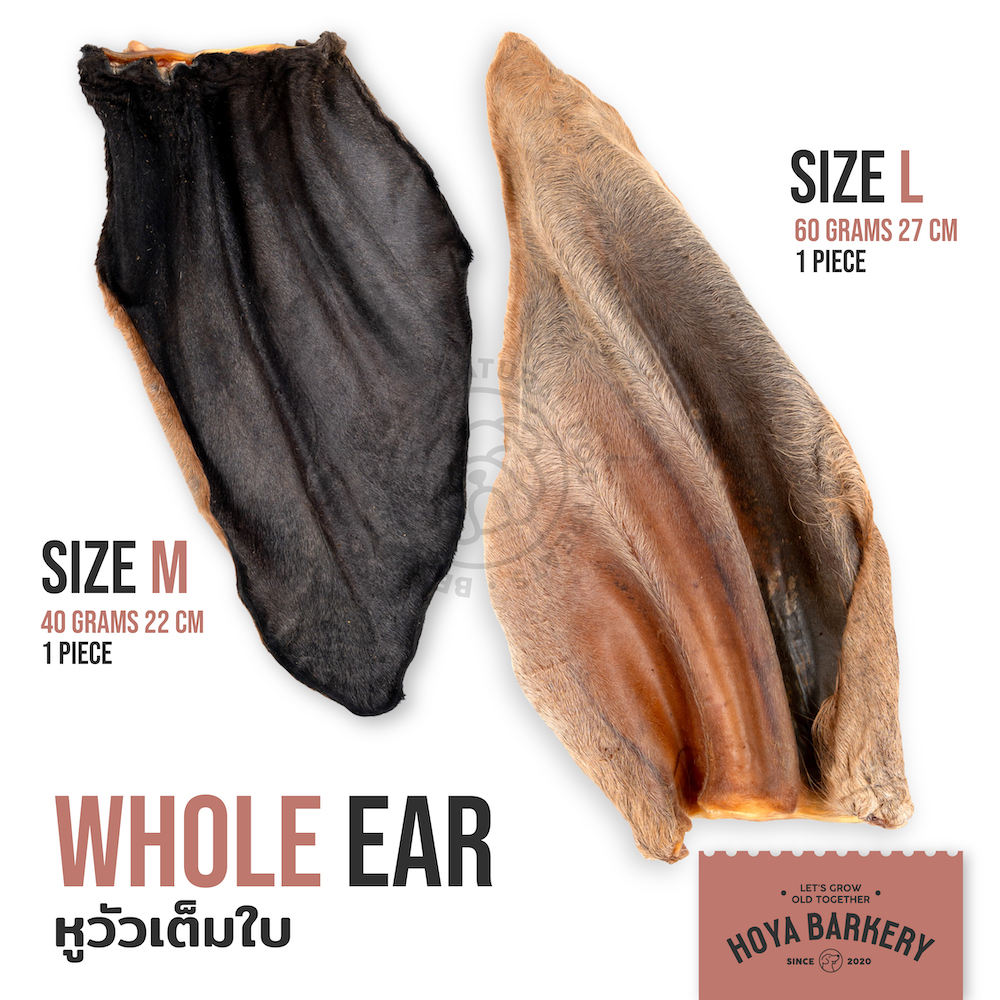 whole ear