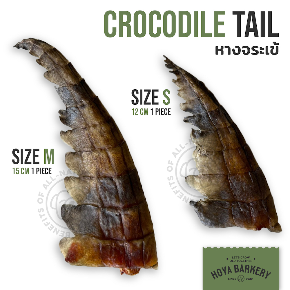 croc tail