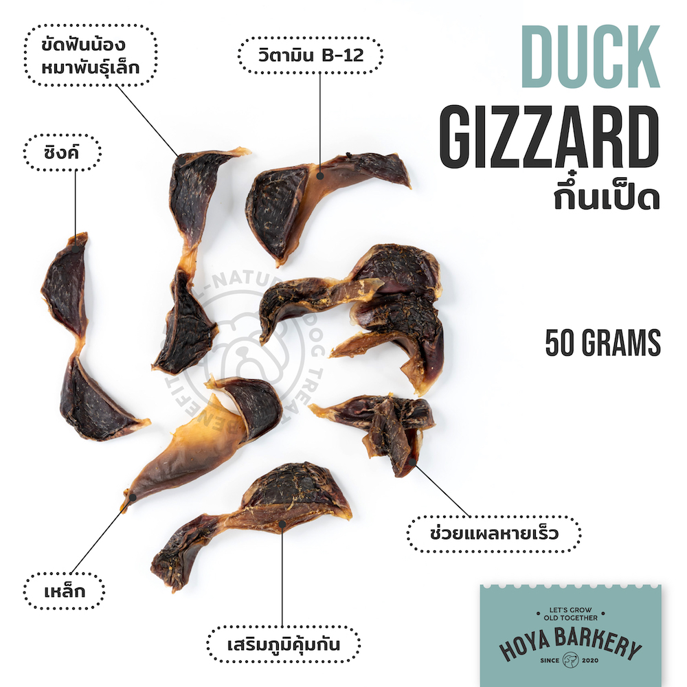 duck gizzard