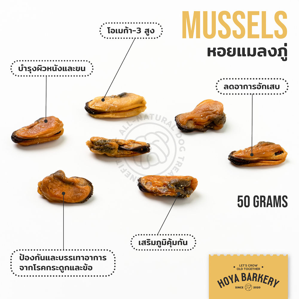 mussels