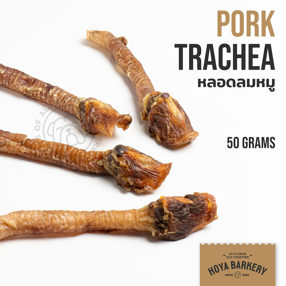 pork trachea