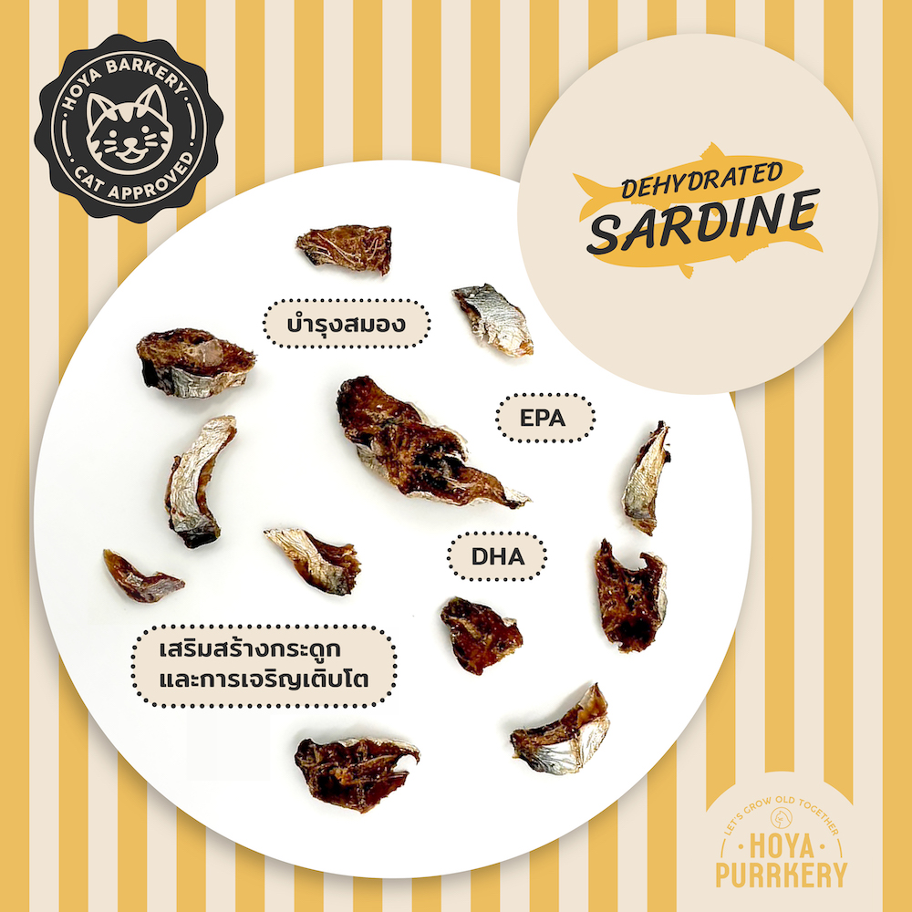 sardine
