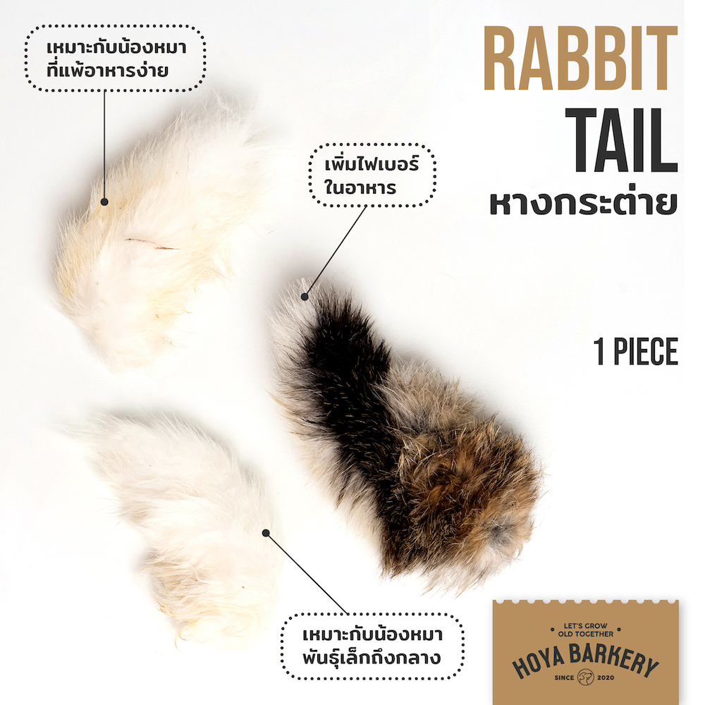 rabbit tail