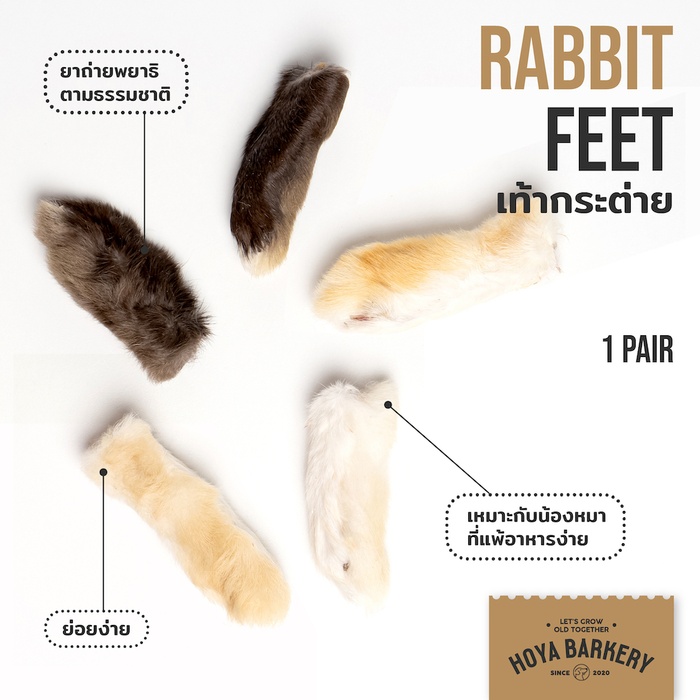 rabbit feet