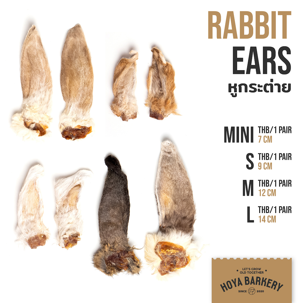 rabbit ear