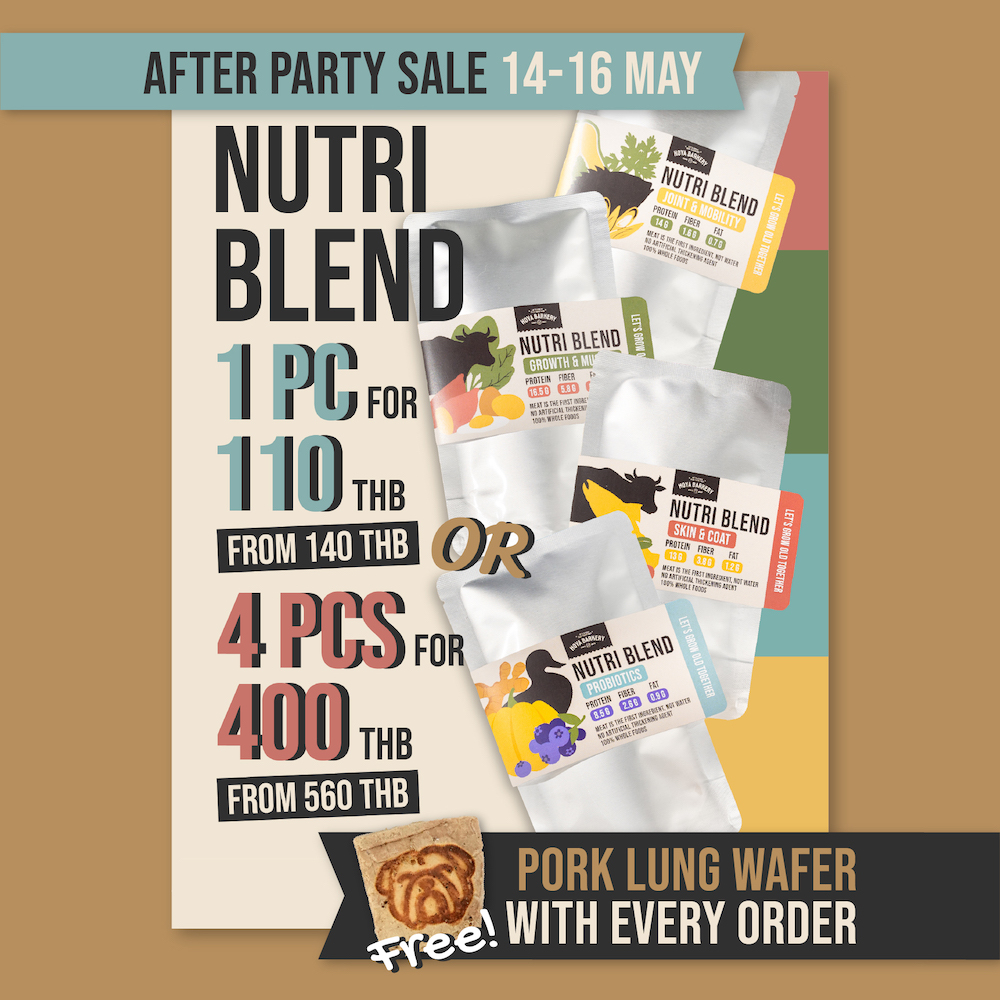 nutri blend
