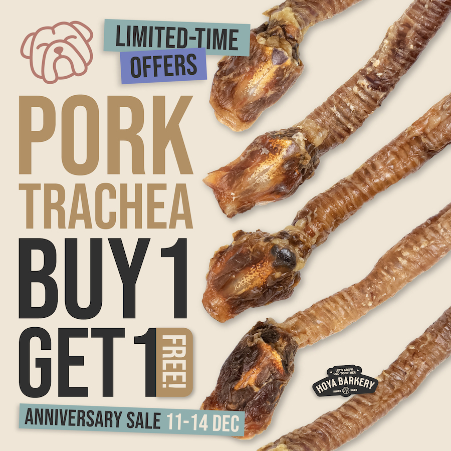 pork trachea 1 free 1