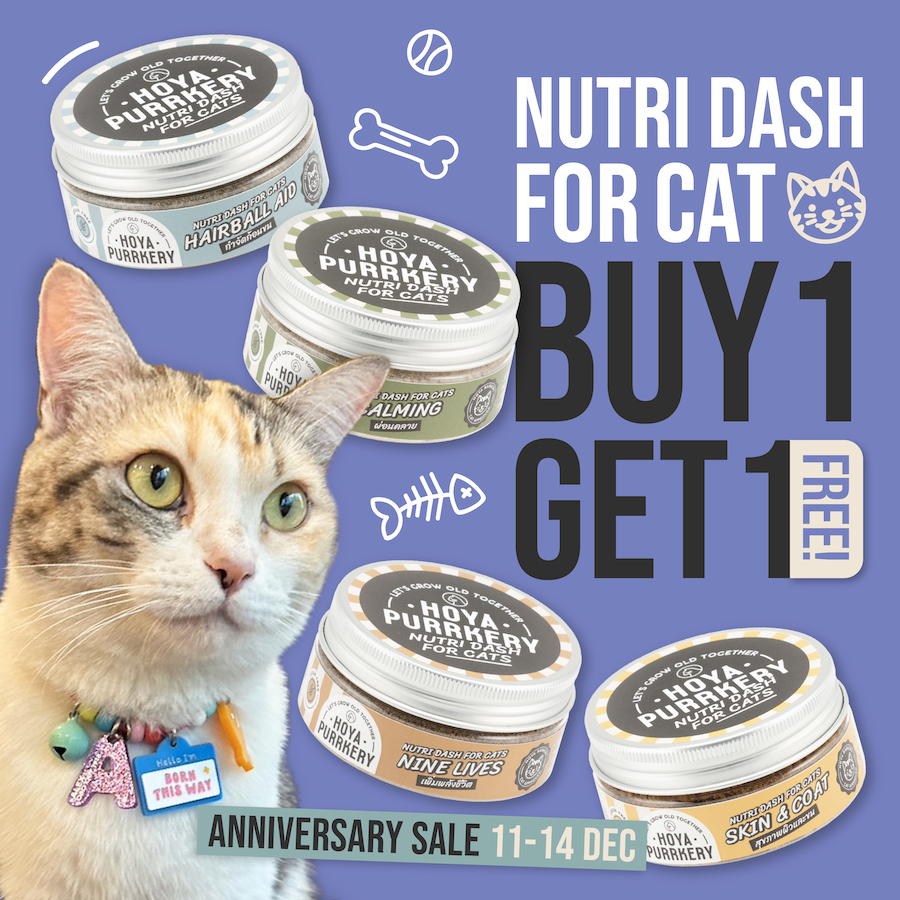 nutri dash cats 1 free 1