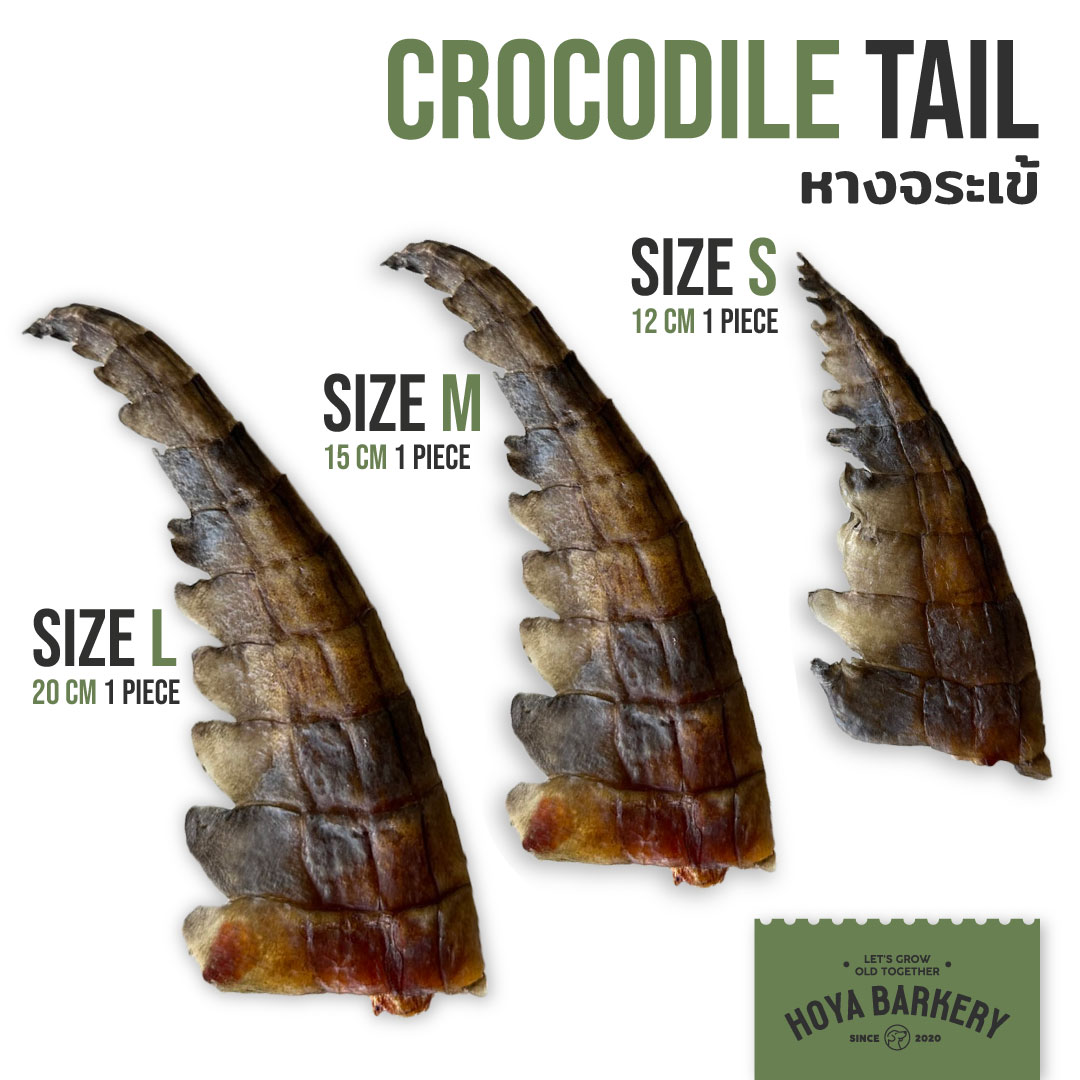 croc tail