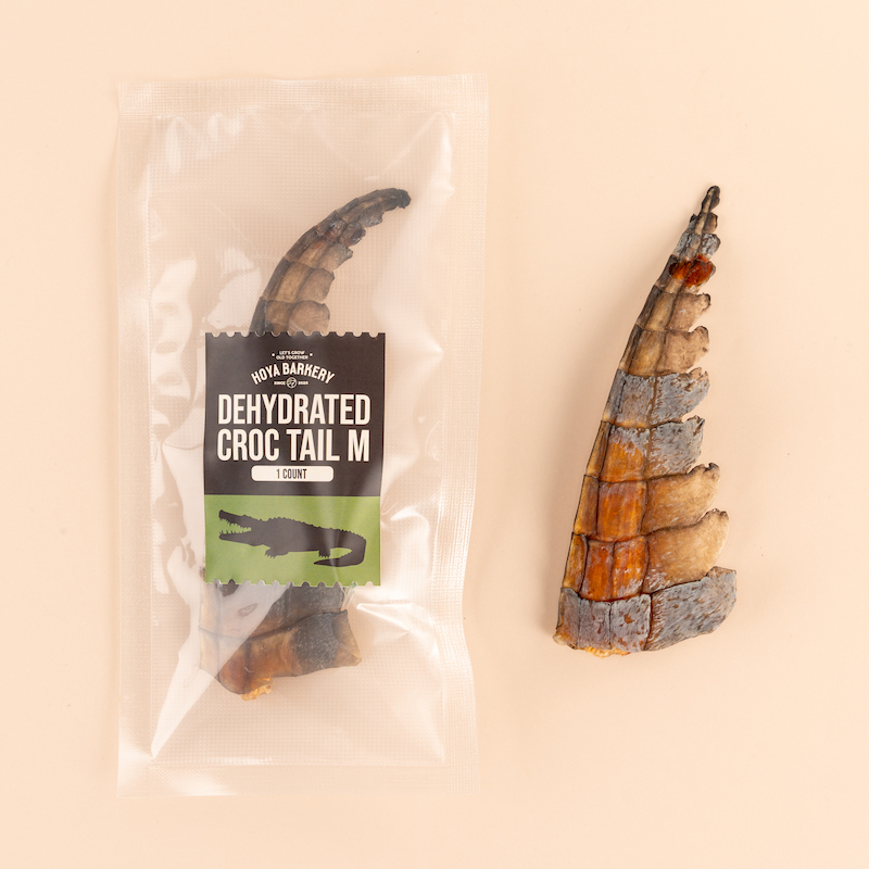 croc tail