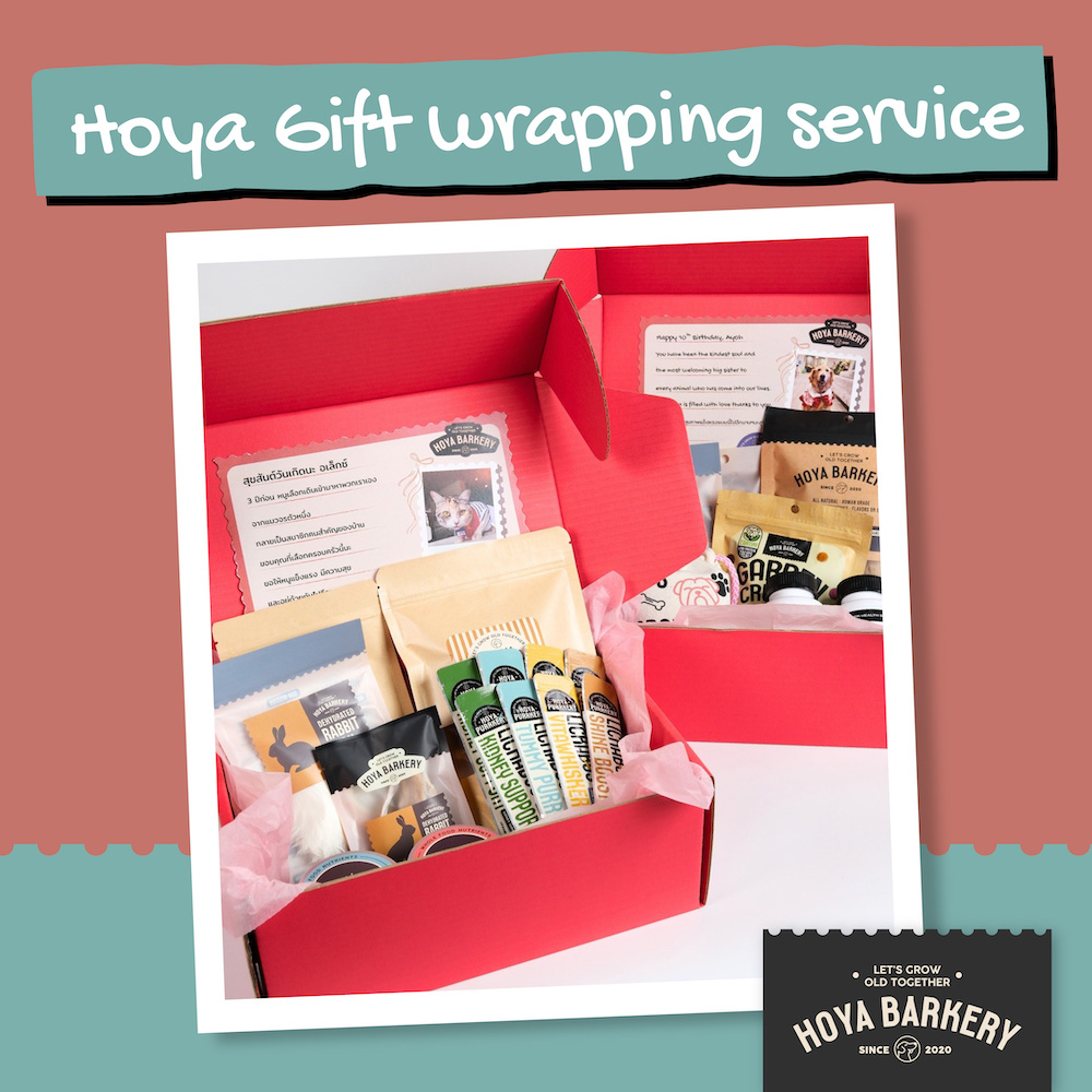 gift wrapping