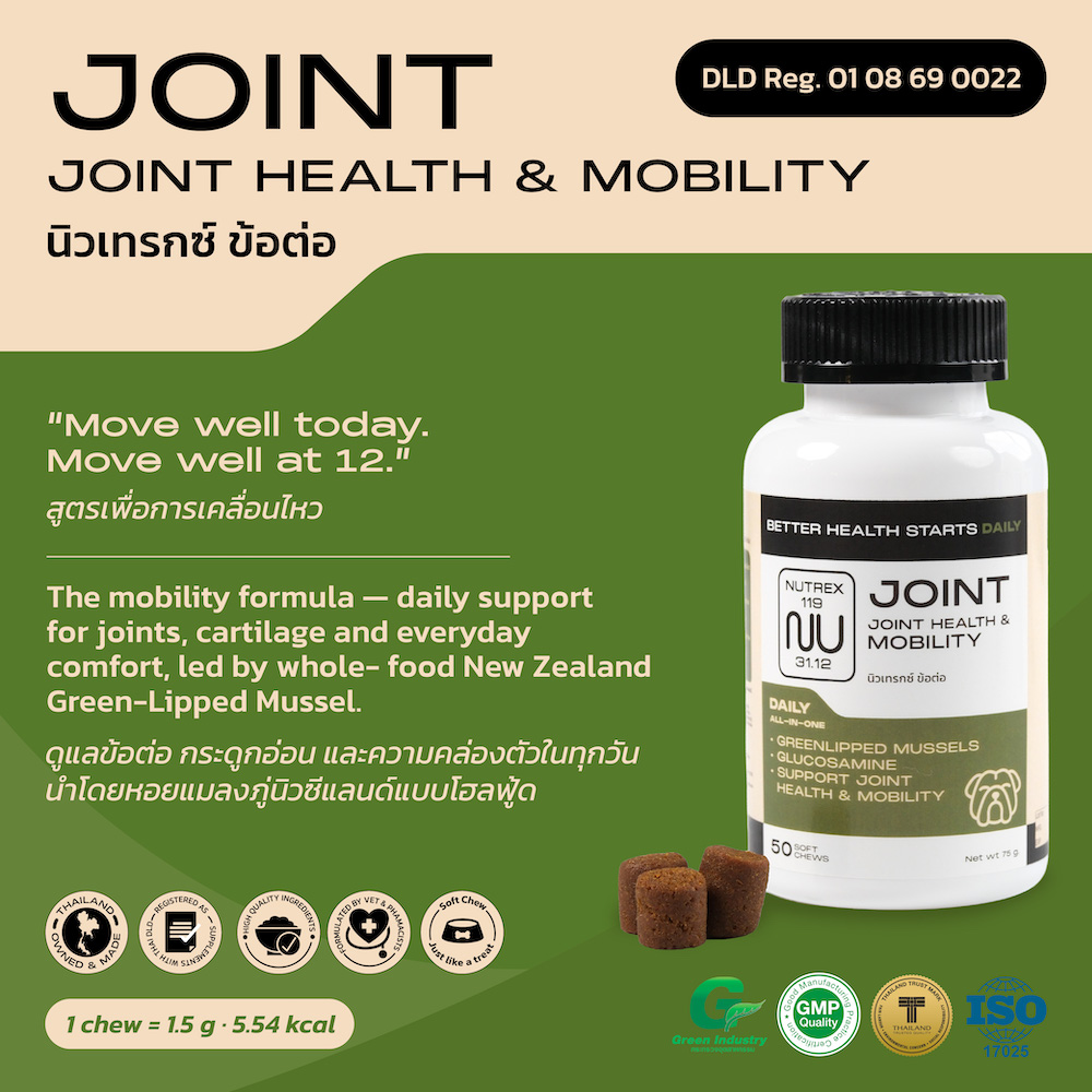 JOINT