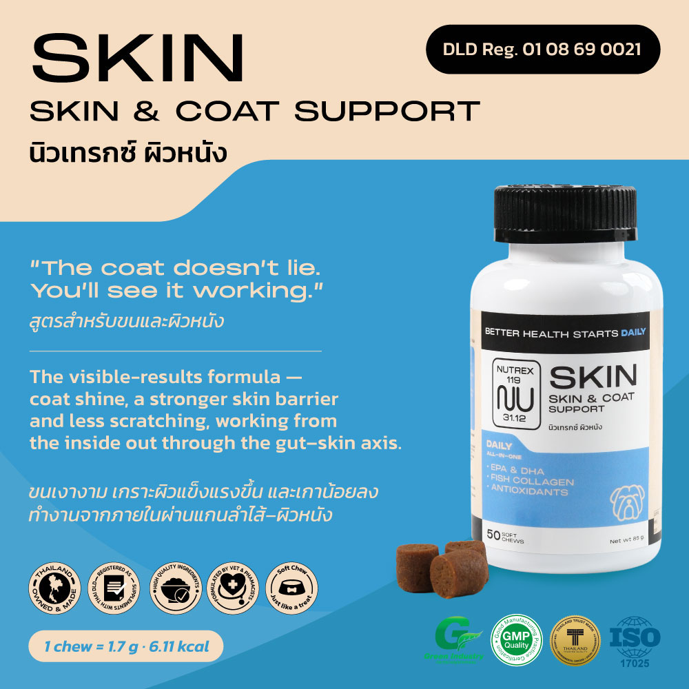 SKIN