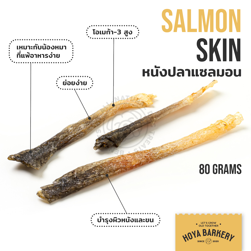 salmon skin