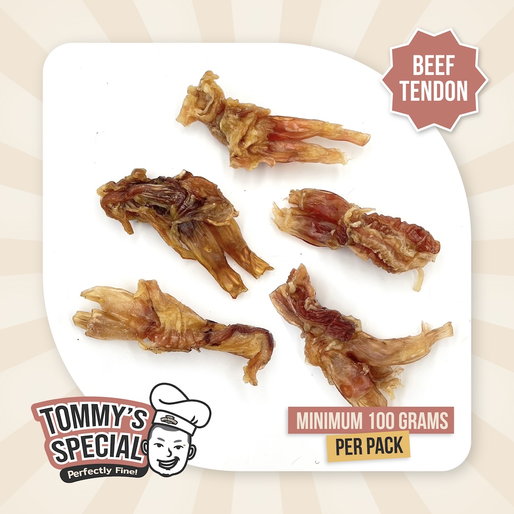 tendon
