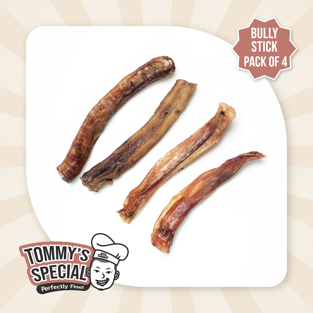bully stick