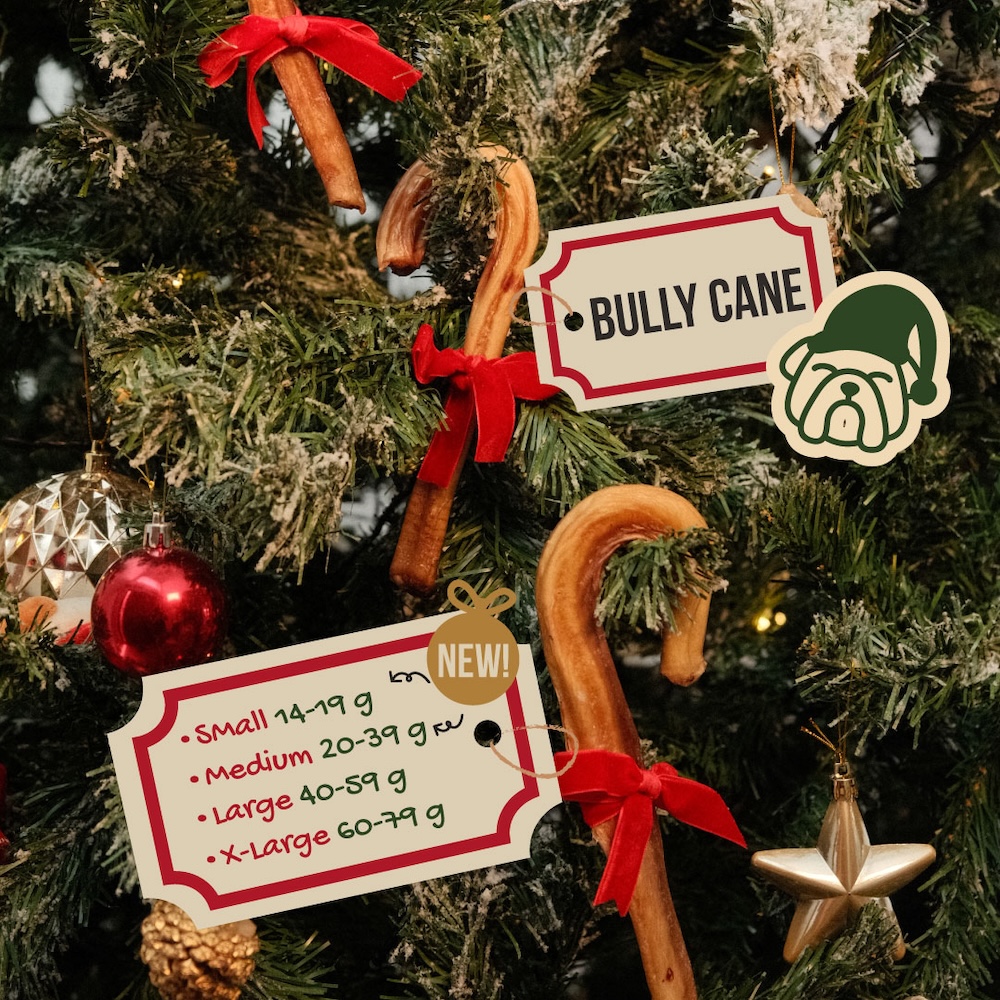 Bully Cane