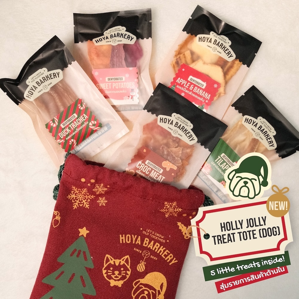 dog Christmas tote set