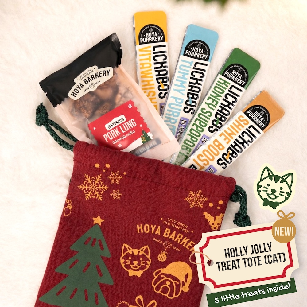 cat Christmas tote set